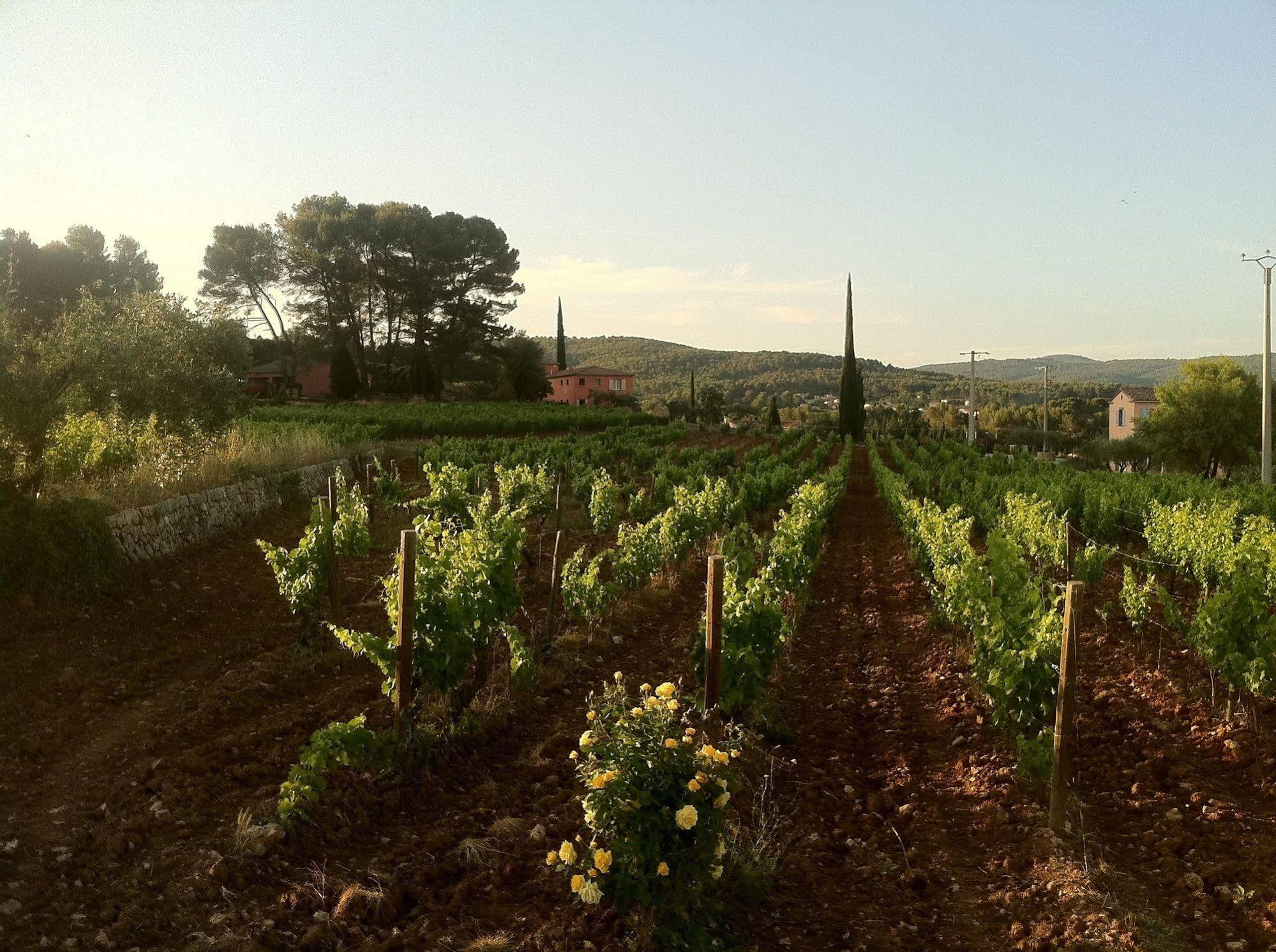 Domaine Rabiega Otel Flayosc Dış mekan fotoğraf
